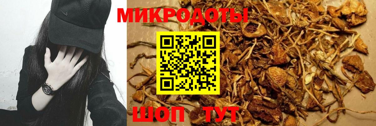 Меф Брянск