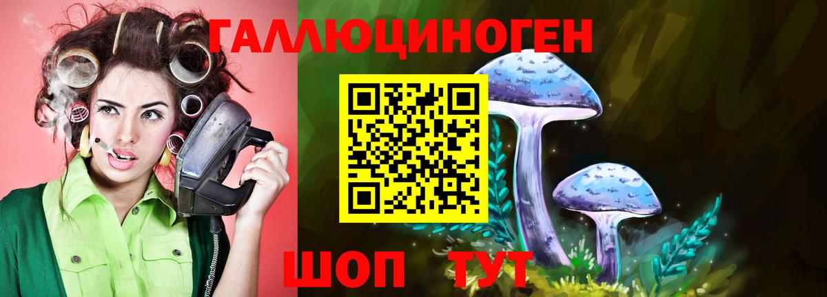 Галлюциногенные грибы прущие грибы  Псилоцибиновые грибы MAGIC MUSHROOMS  Брянск  Вход с VPN 